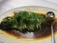 清蒸苏鼠斑-汕头皇城酒店