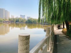 -迎泽公园