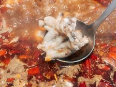 美蛙-销魂美蛙鱼头火锅(上海首店)