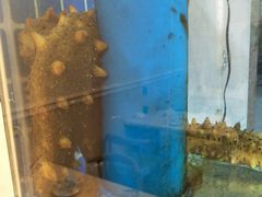 -富临港·蒸汽海鲜·手抓海鲜·炒菜(栈桥店)