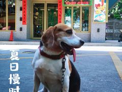 -柠檬树茶餐厅(海雅缤纷城店)