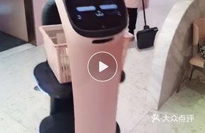 Cat Robot Dessert