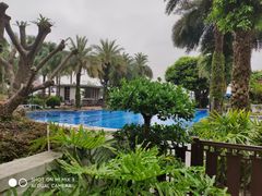 -广州白天鹅宾馆