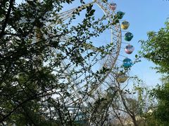 -合肥融创乐园