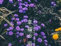 -杭州植物园
