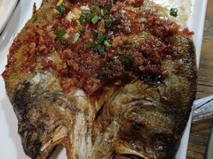 -小杨烤肉(朱雀店)