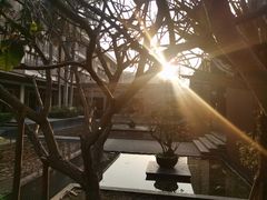 -白云湖畔酒店-湖畔餐厅