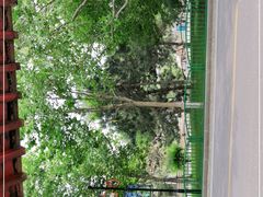 -石家庄市动物园