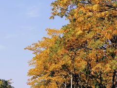 -杭州师范大学(下沙校区)