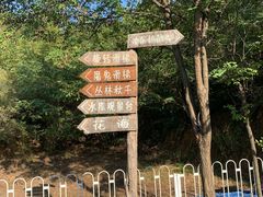 -欢乐松鼠谷