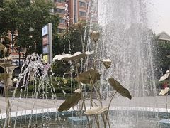 -金汇四季广场
