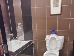 -武汉江城明珠豪生大酒店