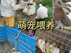 -上海山野camping·户外天幕烧烤·团建拓展营地