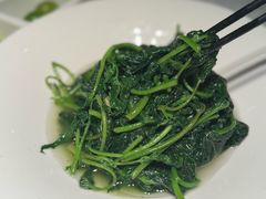 -凤凰湘语(浦东旗舰店)