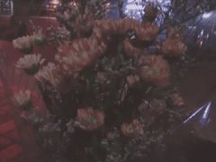 -麦当劳(万达广场店)