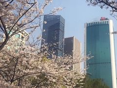 景点-西北湖绿化广场