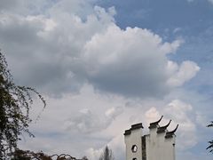 -都江堰玫瑰花溪谷