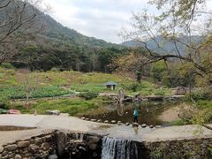 -广州市石门国家森林公园