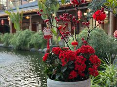 -大门水乡·顺德菜