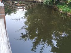 -大屏嶂森林公园