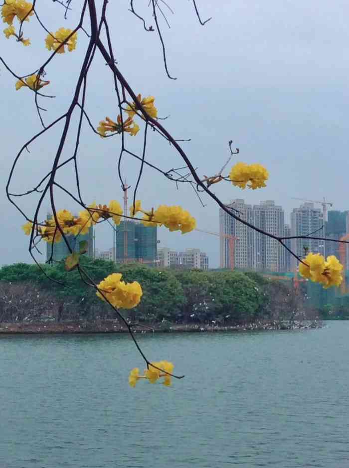 绿岛湖湿地公园位于南庄季华大桥下以绿岛湖为主附近还有水上俱乐部