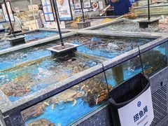 -盒马鲜生(曜一城店)
