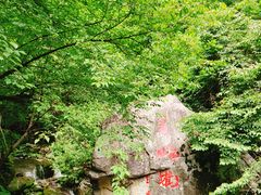 -青峰峡国家森林公园