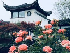 -千禧万福汉亭舫·船舫苏宴