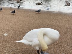 -海德公园