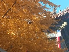 -长安寺
