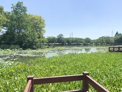 -铭莲·八卦田水上餐厅
