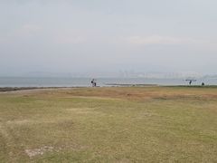 -洱海月湿地公园