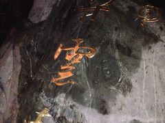 -【朵云轩艺术中心】博洛尼亚插画展·中国巡展·上海站