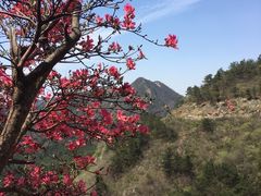 -木兰云雾山
