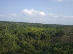 -东寨港红树林旅游区