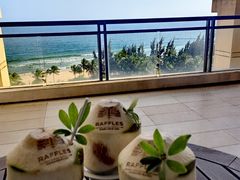 -海南清水湾莱佛士酒店