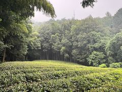-敬亭山风景名胜区