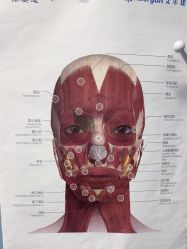 -厦门美莱整形美容医院