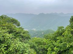 -午潮山国家森林公园