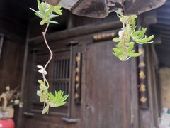 -法云安缦酒店