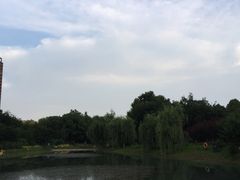 -堤角公园