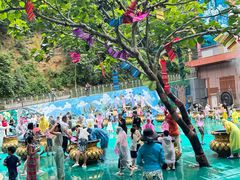 -西双版纳原始森林公园