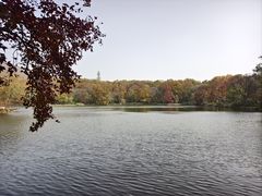 -紫霞湖公园