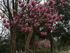 -大蜀山国家森林公园