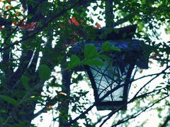 -杭州半山国家森林公园