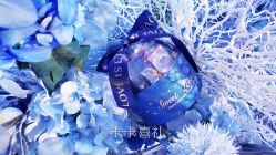 -卡卡喜糖伴手礼·商务礼宝宝礼·婚礼用品