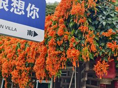 -鲤鱼塘农家山庄