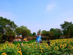 -西溪国家湿地公园