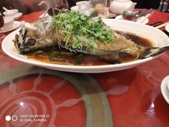 -海港酒家(上水新丰店)