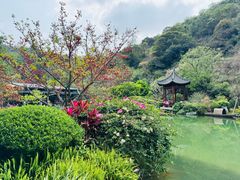 -云溪植物园